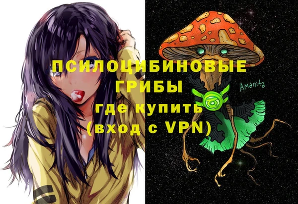 MESCALINE Покачи