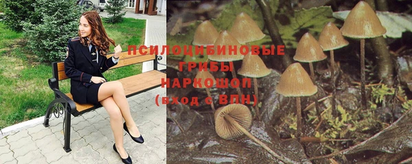 героин Алексин
